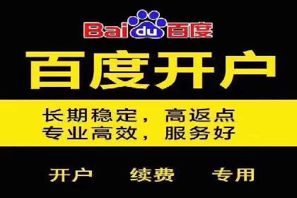 百度竞价推广公司成功案例解析