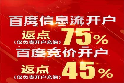 竞价排名成功案例分享
